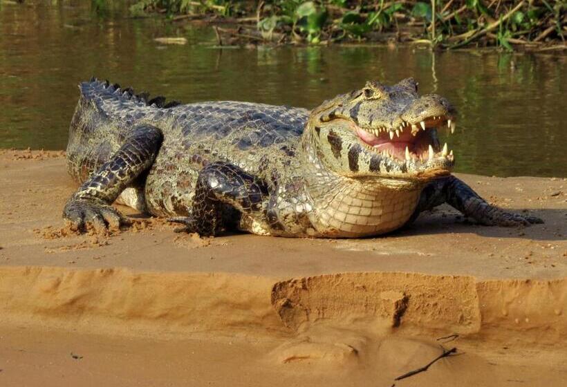 膳宿费 Aymara Lodge