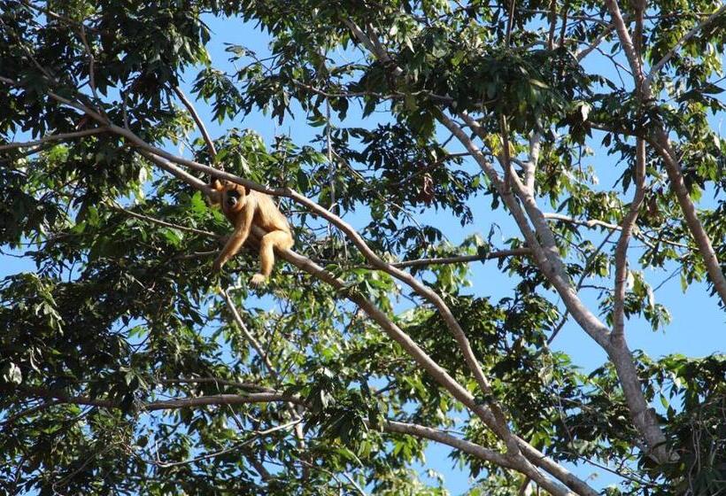 膳宿费 Aymara Lodge