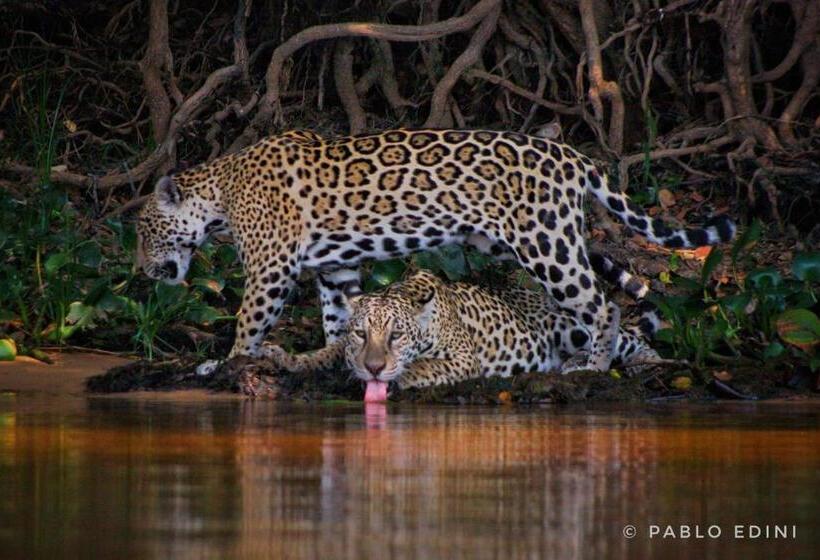 膳宿费 Aymara Lodge