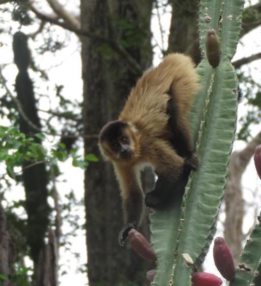 膳宿费 Aymara Lodge