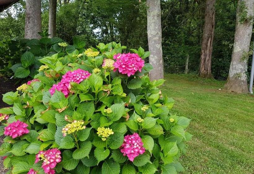 펜션 Maison D Hotes Lapitxuri