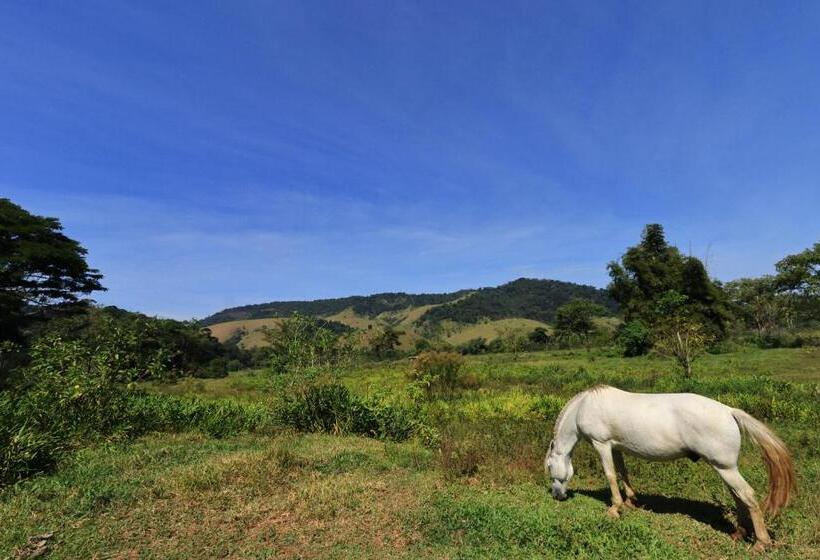 هاستل Pousada Vila Capelinha