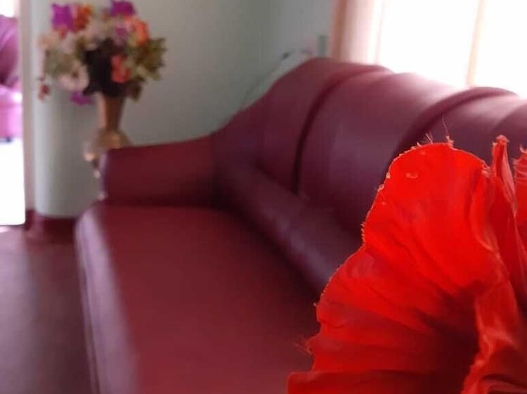 مبيت وإفطار Umaya Rest Inn