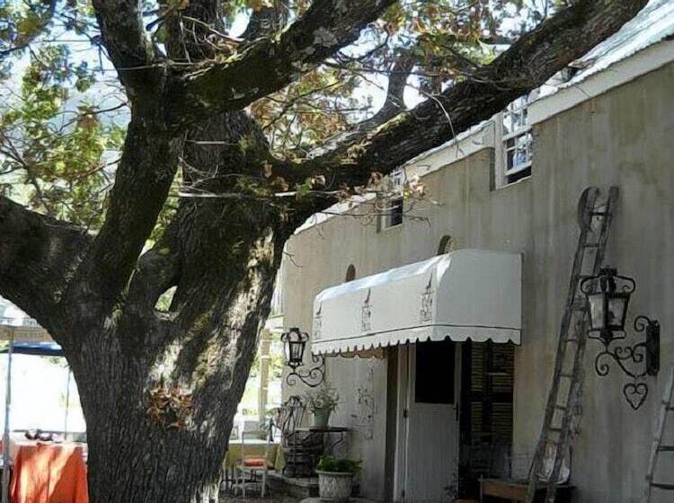 فندق Cafe Felix & Old Oak Manor