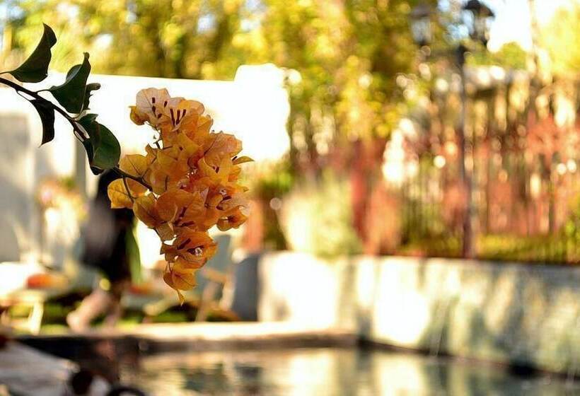 فندق Cafe Felix & Old Oak Manor