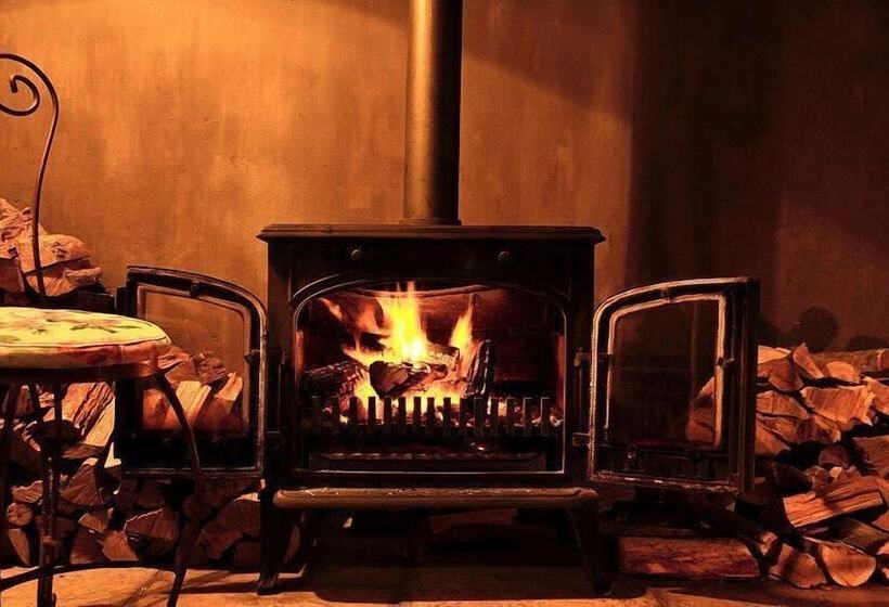 فندق Cafe Felix & Old Oak Manor