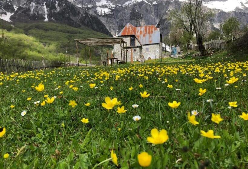 پانسیون Guest House Rrashkadoli