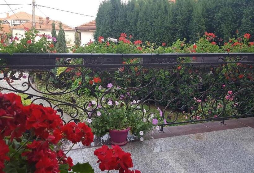 پانسیون Vila Sentić