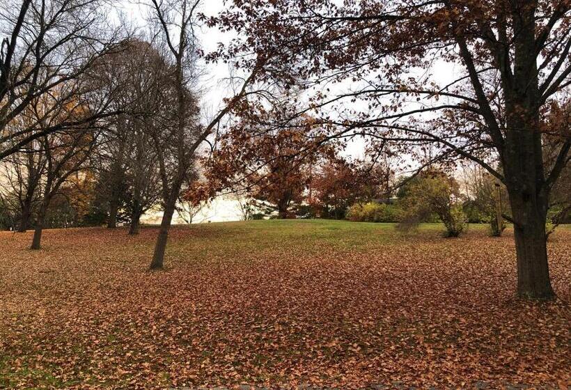 Antique Mansion B & B