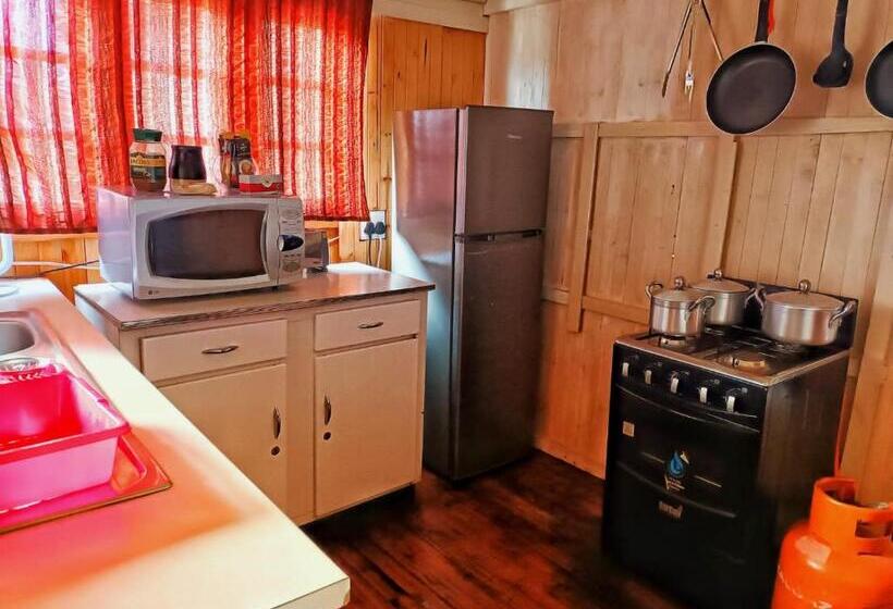 مبيت وإفطار Thorn Tree Bloemfontein