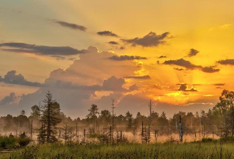 Boarding & House T24