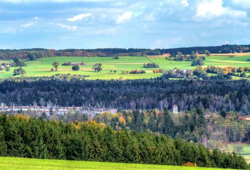 Boarding & House T24