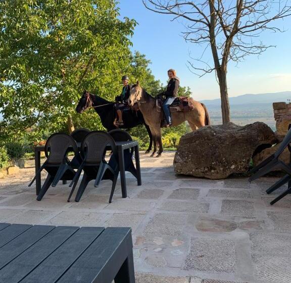 Отель Al Podere Del Nonno Romolo