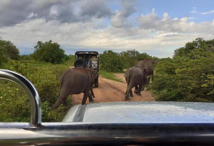 فندق Elephant Lodge