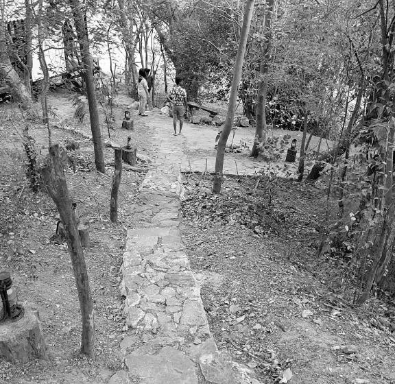 فندق Elephant Lodge