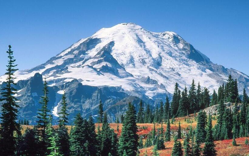 Hotel Loge Alta Crystal Resort At Mt Rainier