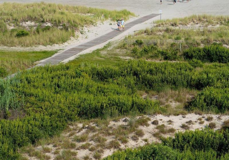 Отель Ocean Holiday