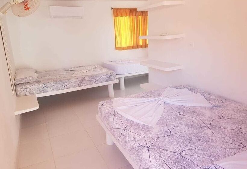 Отель Playa Tiburon