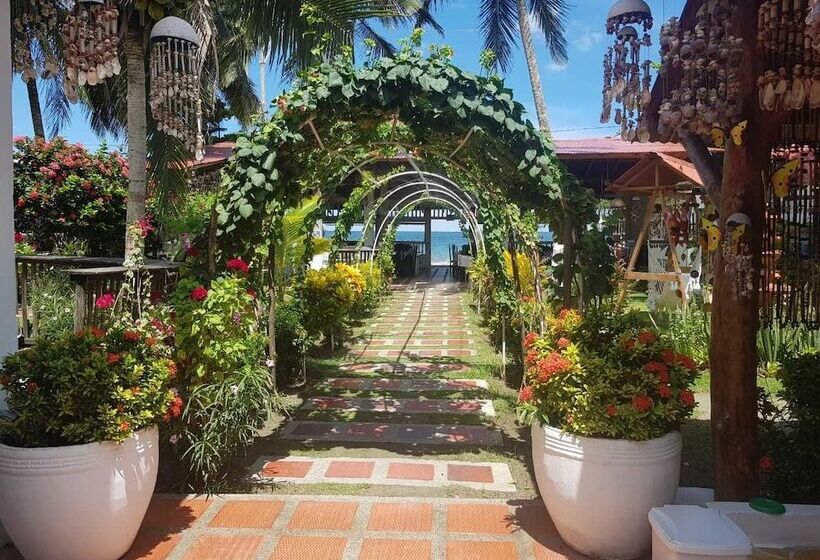 Отель Playa Tiburon