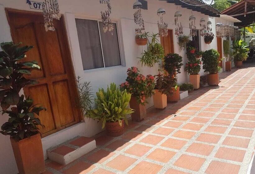 Отель Playa Tiburon