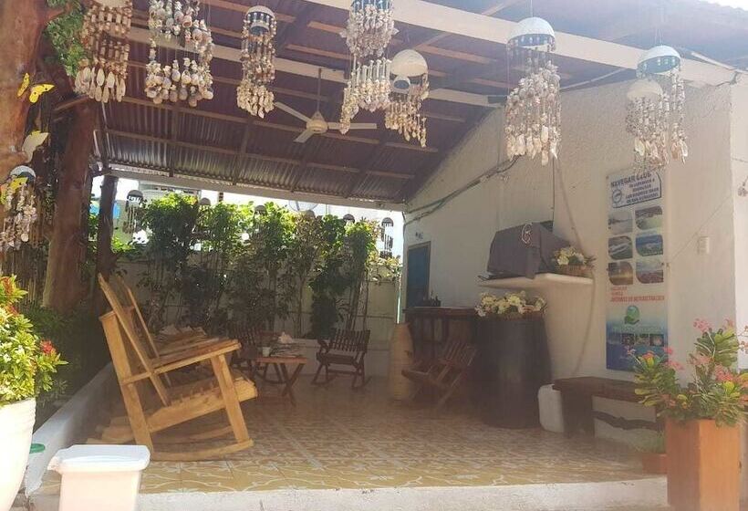 هتل Playa Tiburon