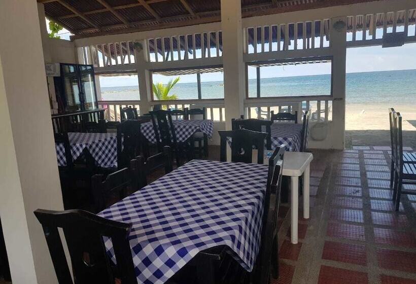 Отель Playa Tiburon