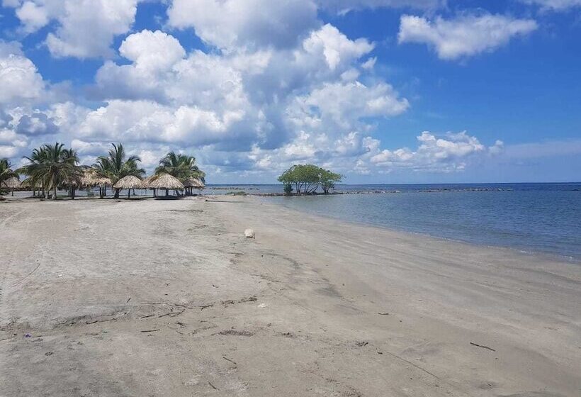 Отель Playa Tiburon