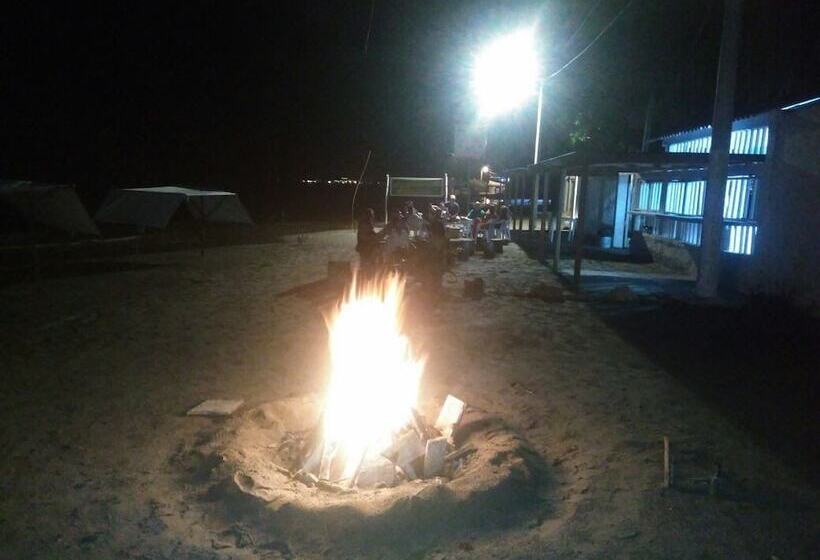 Отель Playa Tiburon