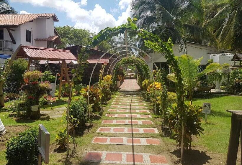 Отель Playa Tiburon