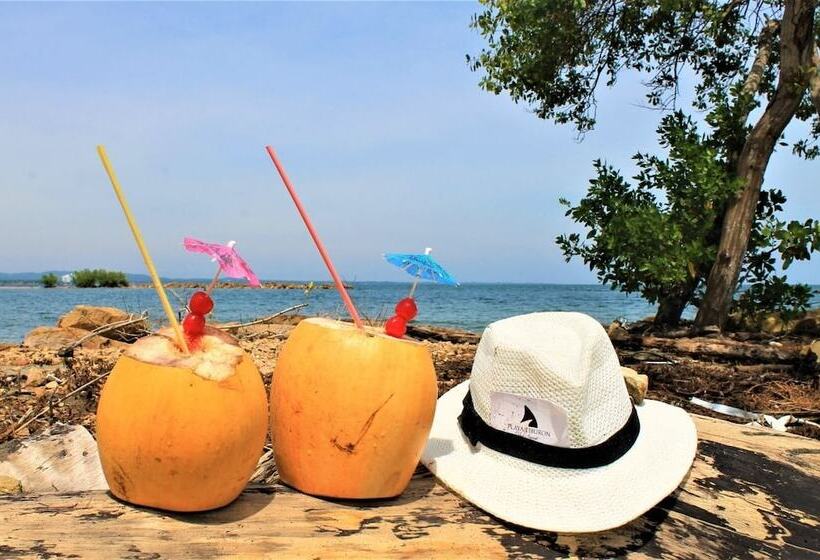 Отель Playa Tiburon