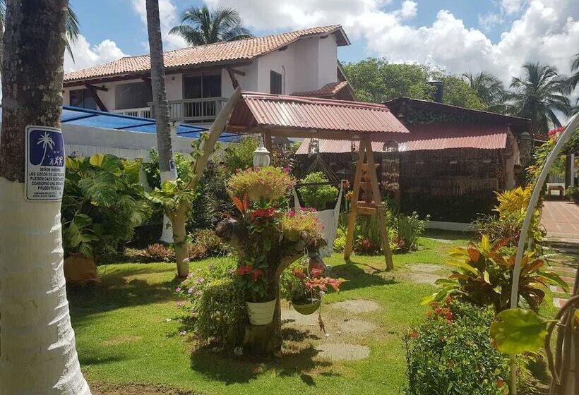 Отель Playa Tiburon