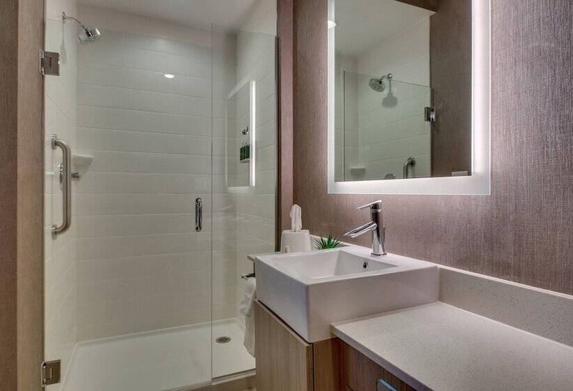 فندق Springhill Suites By Marriott Gulfport I10