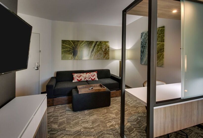 فندق Springhill Suites By Marriott Gulfport I10