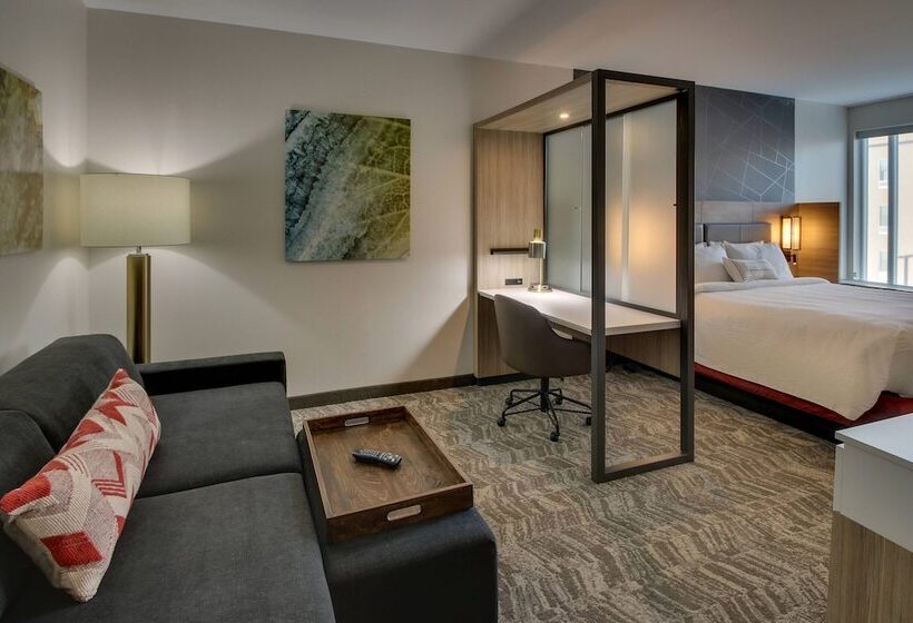 فندق Springhill Suites By Marriott Gulfport I10