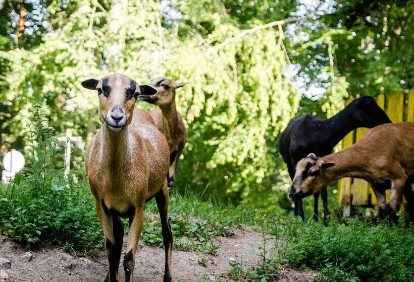 호스텔 Wallfahrts Gaststätte Heilbrünnl