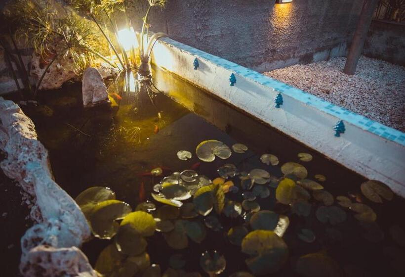 住宿加早餐  Cosi Priziusi