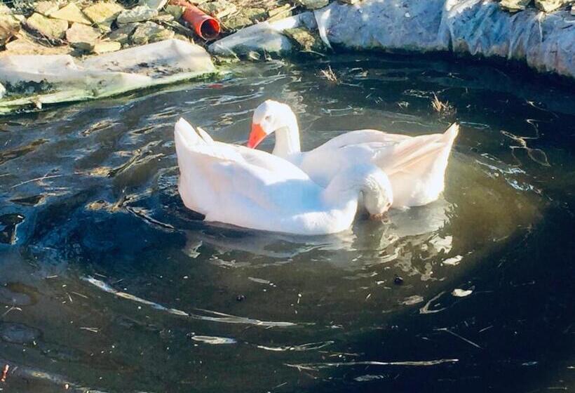 צימר Cosi Priziusi