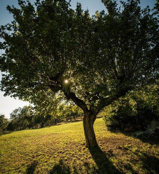 ホテル Podere Belvedere Tuscany