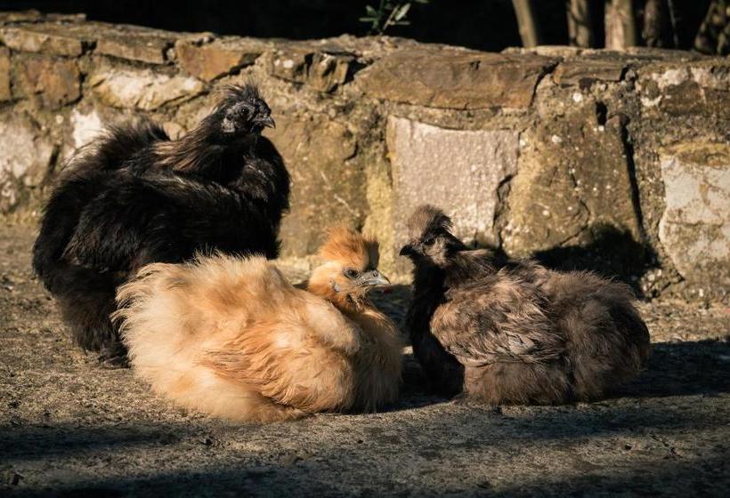 ホテル Podere Belvedere Tuscany