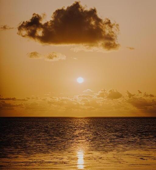 호텔 Slapen In Een Trechter