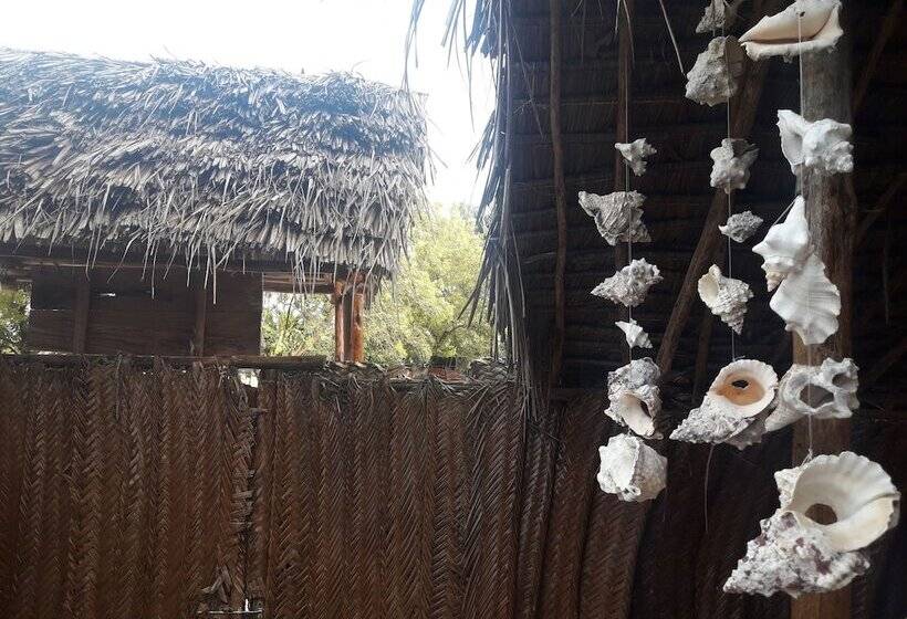 پانسیون Carpe Diem Nungwi