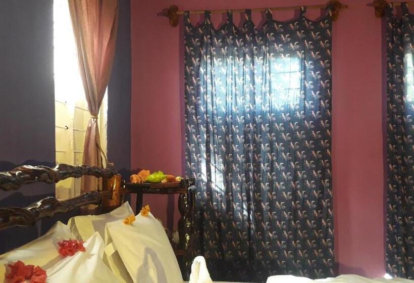 پانسیون Carpe Diem Nungwi