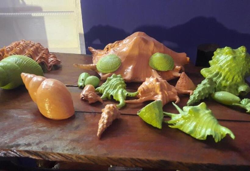 پانسیون Carpe Diem Nungwi