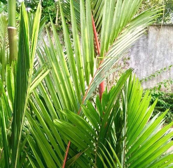 Uyana Boutique Hotel And Retreat Adults Only