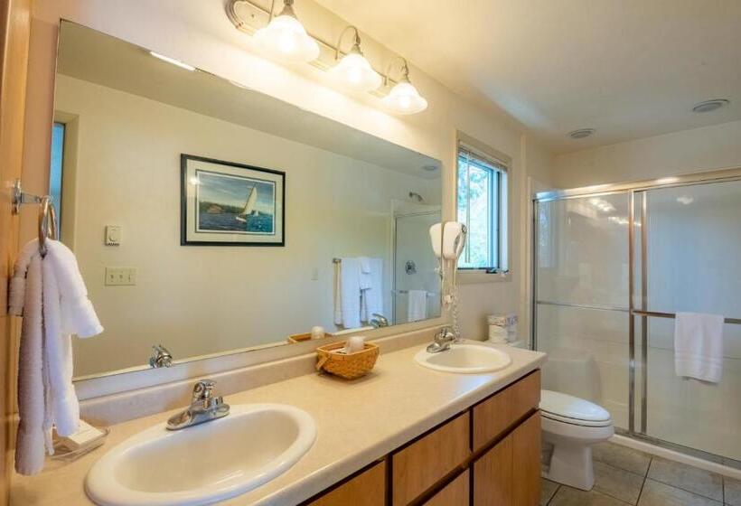 فندق صغير Harbor Guest House