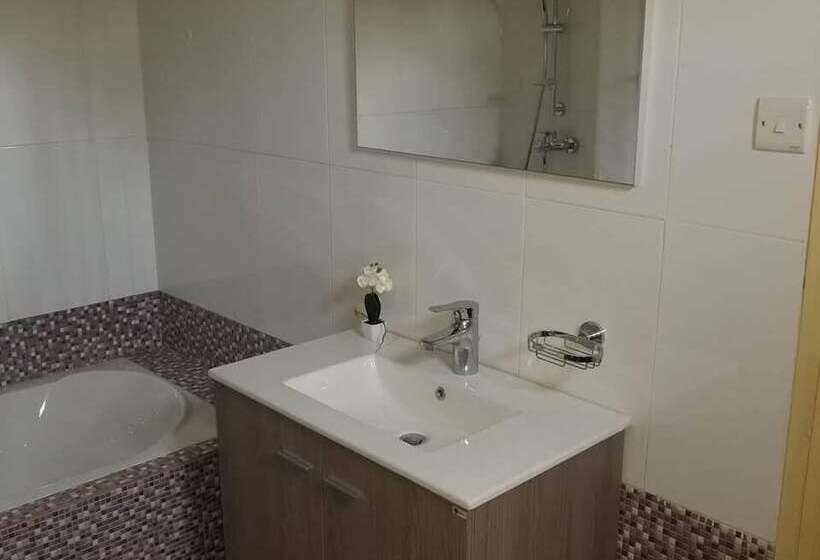 تختخواب و صبحانه Balance Sheet