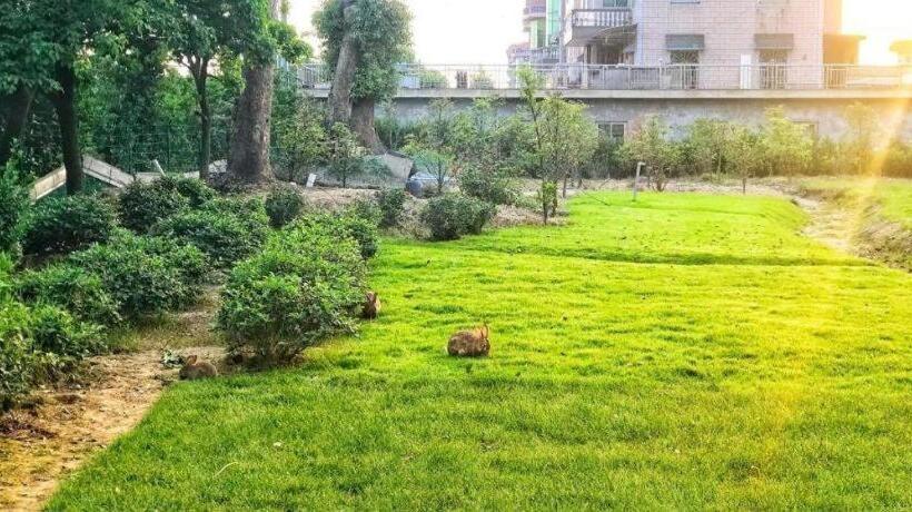 S·dor Hotel Hangzhou Xiaoshan Intertational Airport