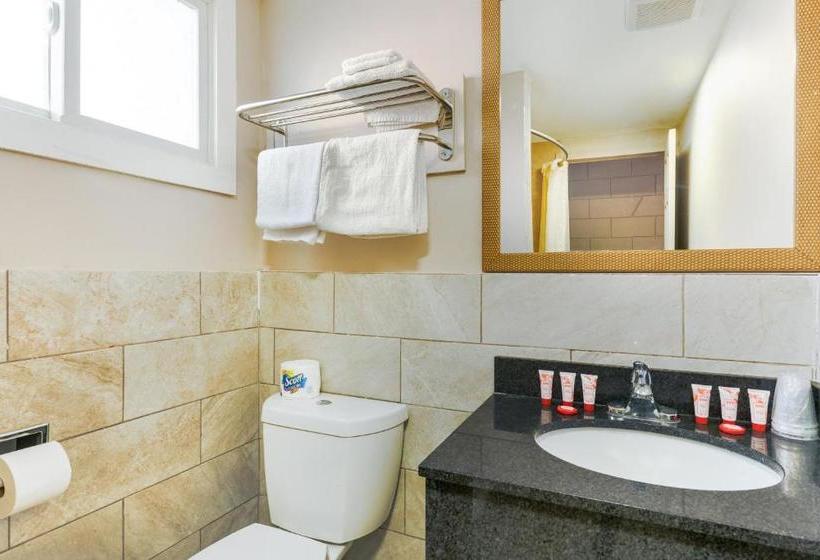 فندق على الطريق Broadway Inn