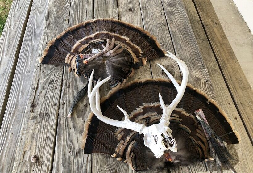 호스텔 Oasis Lake Buchanan