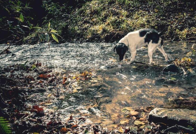 هتل Agroturismo Araize